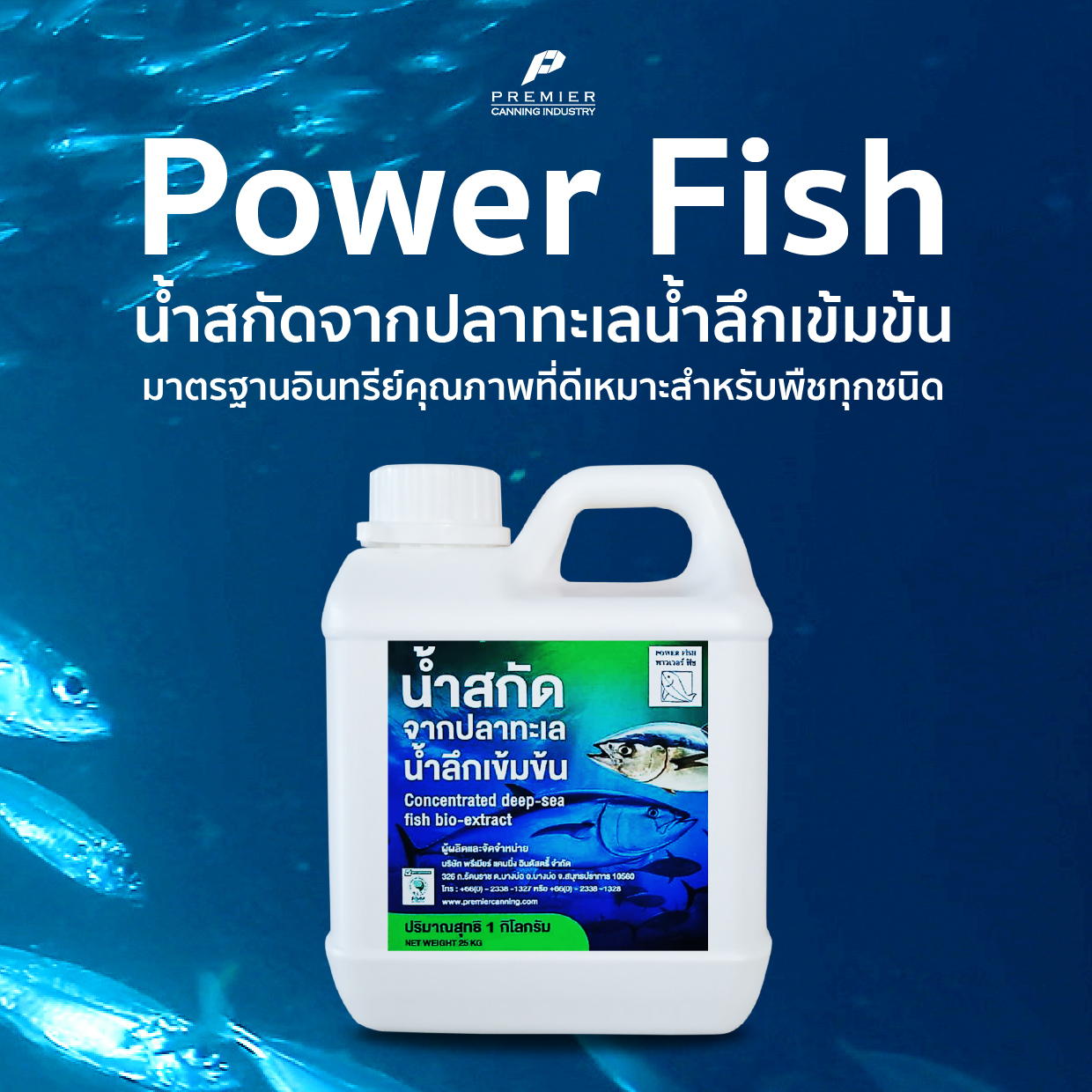 526459257_784979384105126_6093800836853843541_n