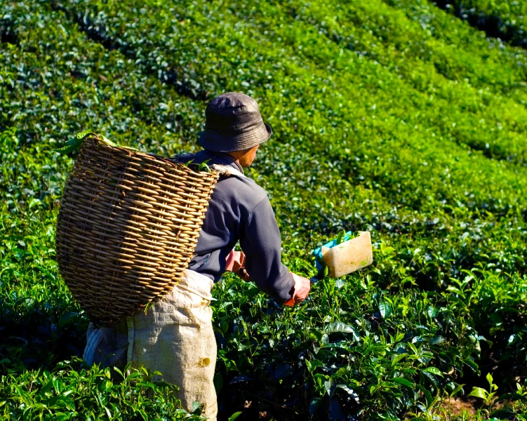 Cor_News_04_inside_1