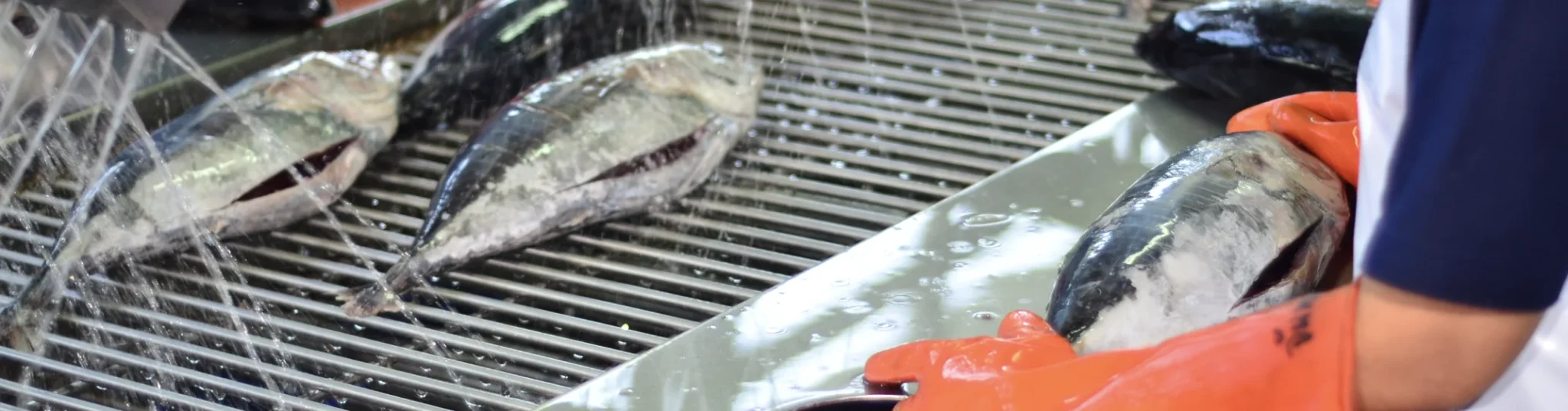 ธุรกิจสินค้าอุปโภคบริโภค_Premier-Canning-2048x537