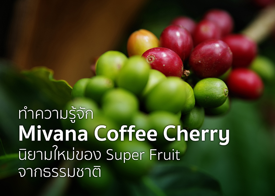 mivana coffee cherry content ใน website Facebook